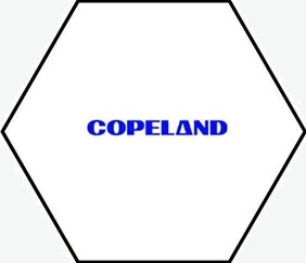 โลโก้ลูกค้า